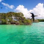 SIAN KAAN BOAT SAFARI TOUR